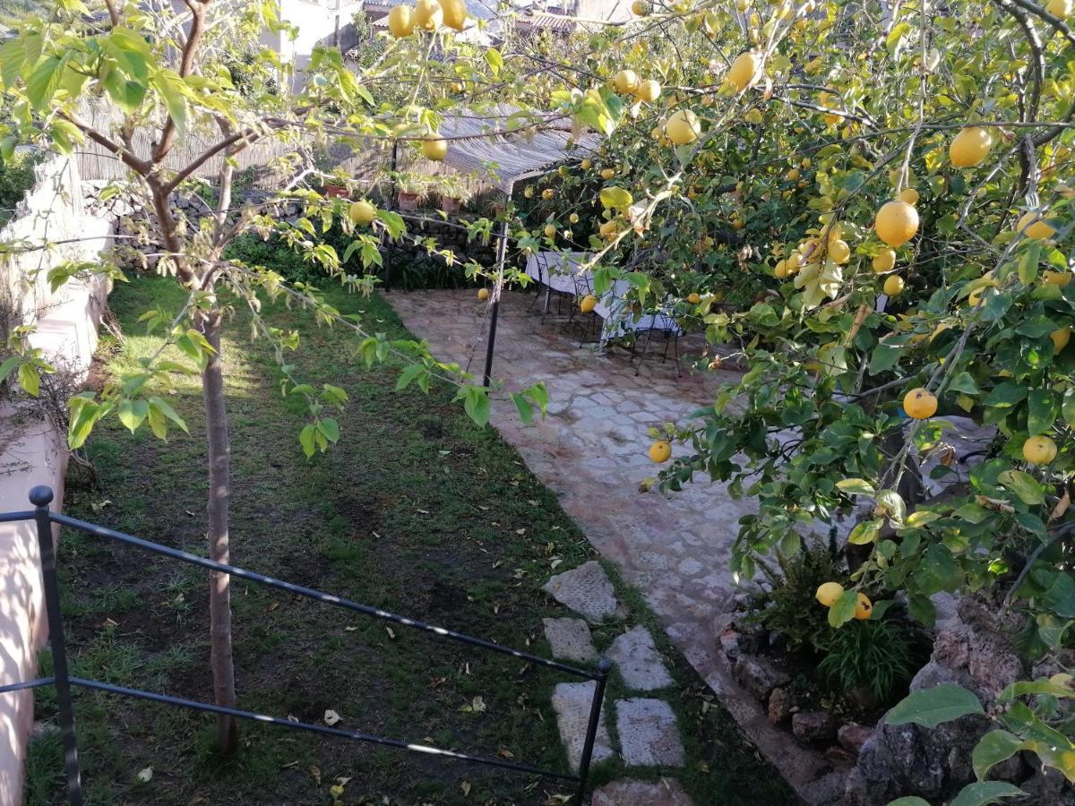 Filoses 18A Valldemossa  Ngoại thất bức ảnh